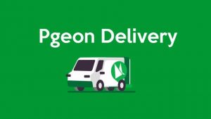 Pgeon 海运小包
