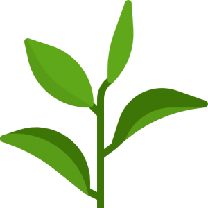 动物植物
