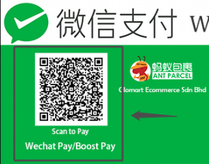 扫码蚂蚁包裹微信支付