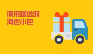 使用赠送的海运小包