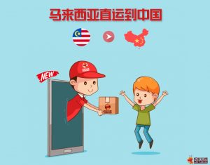 马来西亚直运到中国
