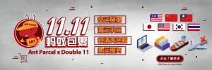 双11